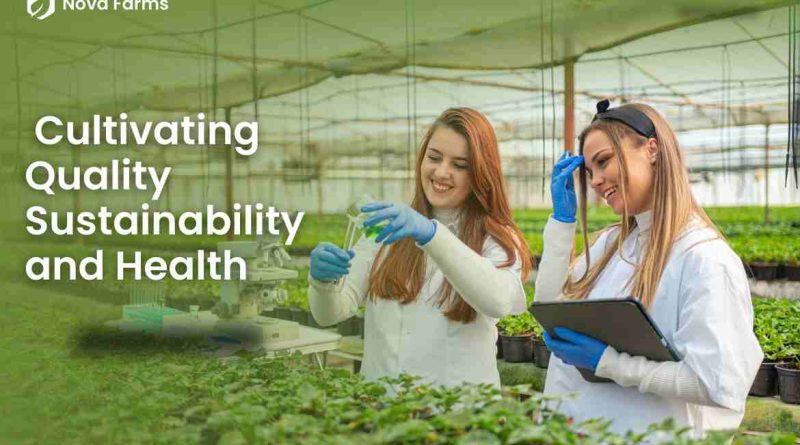 Nova Farms: Cultivating Quality Sustainability and Health