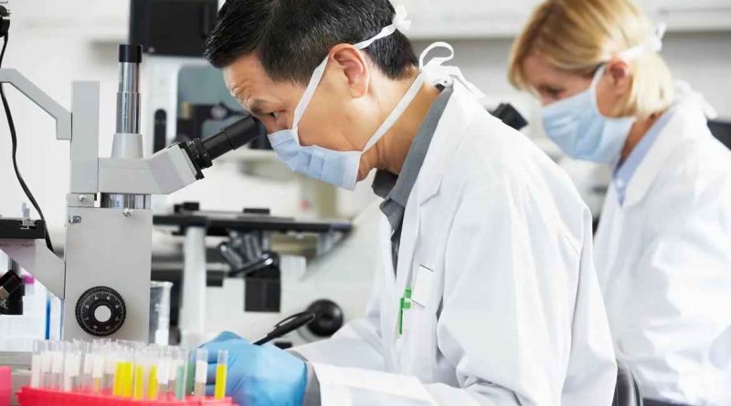 Santa Cruz Biotechnology: Expert Solutions for Researchers