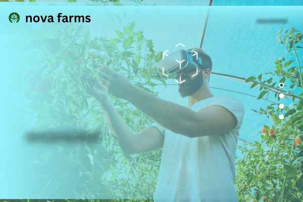 Nova Farms: Cultivating Quality Sustainability and Health