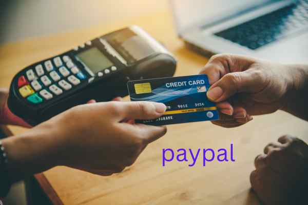 Prince Narula's Digital PayPal Strategies: Boosting Online Success